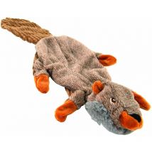 Castor plat peluche chien