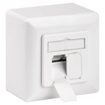Goobay - CAT-6A-Universaldose inkl. Aufputzmontage-Rahmen, 2x RJ45-Anschlüsse, geschirmt, Klemmleiste für werkzeugfreie LSA-Montage. Farbversion Weiß