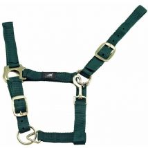 Cavezza in nylon doppia regolazione e moschettone: cob, Bordeaux