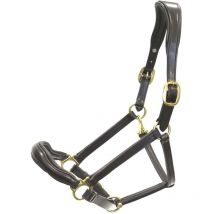 Cavezza Winner sagomata in cuoio profilata e imbottita con doppia fibbia sul sopratesta in ottone lucido: Cob, Marrone