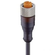 11355-1 Connettore confezionato per sensore o attuatore M12 Presa dritta 2.00 m Numero di poli: 4 1 - Lumberg Automation