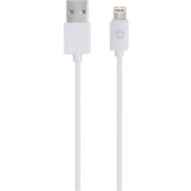 Realpower - Cavo usb usb 2.0 Spina usb-a, Connettore Apple Lightning 1.00 m Bianco 255649