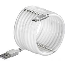 Cavo usb usb 2.0 Spina usb-a, Spina usb-c 2.00 m Bianco contatti connettore dorati TO-6895311 - Renkforce