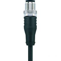 Escha - 8047008 Connettore confezionato per sensore o attuatore M12 Spina dritta 5.00 m Numero di poli: 12 1 pz.