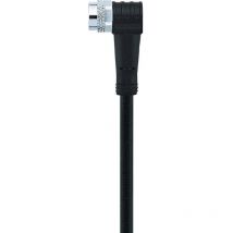 8043752 Connettore confezionato per sensore o attuatore M8 Presa angolata 5.00 m Numero di poli: 3 1 pz. - Escha