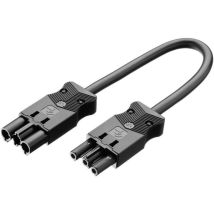 Câble de raccordement secteur Alimentation mâle - Alimentation femelle Adels-Contact AC 166 VLCG/315 100 18324 Nombre t
