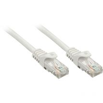 Unbekannt - lindy 48160 RJ45 Câble réseau, câble patch cat 6 u/utp 0.30 m gris 1 pc(s) S239912