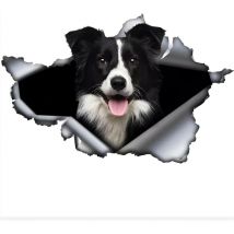 Autocollant de voiture 25 cm (9,8 pouces) Autocollant Border Collie drôle Border Collie Autocollant de voiture Animal de compagnie Chien Autocollant