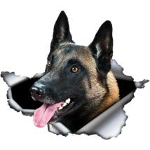 Autocollant de voiture Malinois belge Autocollant de voiture Autocollants réfléchissants 25 cm 3D Déchiré Autocollant Métal Imperméable Belge Berger