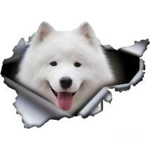 Autocollant pour voiture Samoyède Autocollant 15 cm (5,9 pouces) Blanc Samoyède Autocollant réfléchissant Animal de compagnie Chien Drôle 3D Déchiré