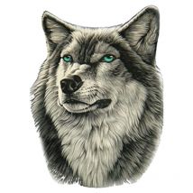 Autocollants Voiture, 4pcs Loup Stickers Autocollants Voiture Personnalisé Autocollant De Capot Voiture Loup Stickers Autocollants Stickers Voiture