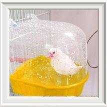 Baignoire D'Oiseau BoîTe Bain Jouet - Suspendu Perruche Baignoires pour Oiseaux Perroquets avec Crochets Nourrisseur Plupart des Cages Cage Animaux