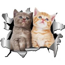 Stickers De Voiture 3D Stickers De Chat Mignon Stickers De Mur à Thème Animalier Stickers De Voiture Décoration Personnalisé Fenêtre Pare-Chocs