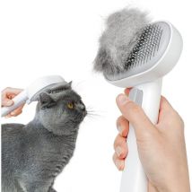 Ccykxa - a Brosse Chiens Chats, Brosse pour Chat Brosse Autonettoyante pour Chat Chien Poil Long Court en Conception à Une Touche, Enlèvement