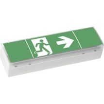 Ceag Notlichtsysteme Lampes De Sécurité Led Gris Clair