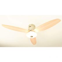 Aireryder - Ceiling Fan Aero with Light & Remote Control