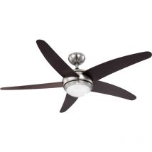 Ceiling fan Fabiola with light and remote