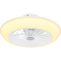 Ceiling fan Lafee White with included 55W led light