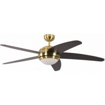 Pepeo - Ceiling Fan Melton Brass / Wenge with Light and Remote