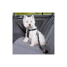 Harnais/Ceinture de Securite Voiture pour Chien - taille s (30 - 60 cm) (4011905012902) - Trixie
