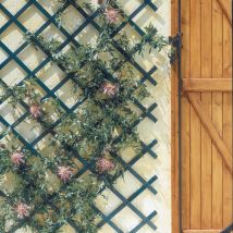 Celosia pvc Extensible 1x3 m verde Trelliflex Nortene
