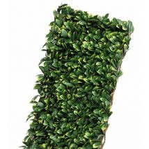 Celosía Mimbre hojas de Laurel Faura