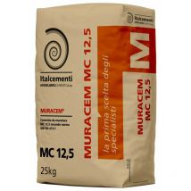 Cemento multifunzionale i.pro Muracem 25 kg
