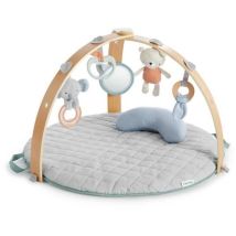 Ingenuity Tapis Deveil A Duvet Cozy Spot Reversible - Modele Loamytm