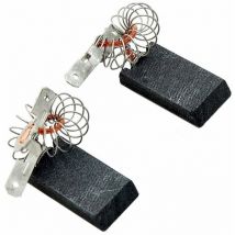 Juego de 2 carbones para motor compatible 1689370 kompatibel