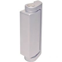 Pizzato Elettrica HC AA HC AA Cerniera supplementare 1 pz.