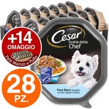 Scelta dello Chef per Cane Adult Mini da 150 gr Pesce Riso e Verdure - Cesar