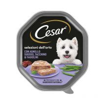 Selezione Dell'Orto Patè per Cane Adult Mini da 150 gr Agnello, Tacchino e Fagiolini - Cesar