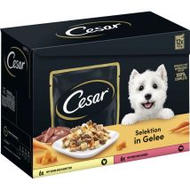 Cesar Hundenassfutter Selektion In Gelee Adult 12 X 100 G Huhn & Rind