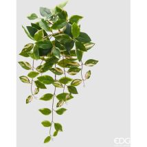 EDG – Cespuglio Potus – Altezza 60 cm – Plastica – Verde