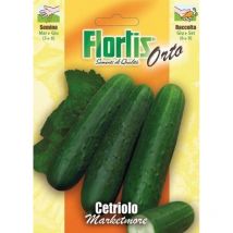 Cetriolo Marketmore