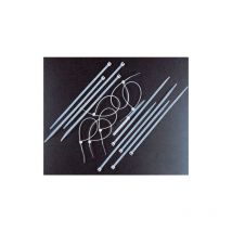 Itw Construction Products Italy - cf 100 pcs de serre-cA bles en nylon noir pince plastique 2,5x98 mm