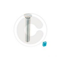 Cf 30 vis vis a tA te plate vis mA talliques a pas grossier 5x20 mm avec a crous coupants