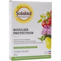 Chabazite Schutzschild 400 g Solabiol