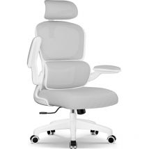 Authmic - Chaise de Bureau Inclinable, Réglable en Hauteur, Fauteuil de Bureau avec Accoudoir Pliable, Soutien Lombaire Ajustable Charge-gris