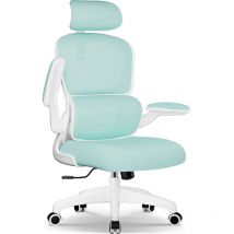 Authmic - Chaise de Bureau Inclinable, Réglable en Hauteur, Fauteuil de Bureau avec Accoudoir Pliable, Soutien Lombaire Ajustable Charge-vert clair