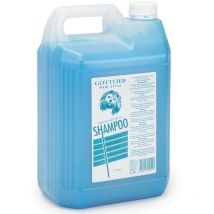 Global - Champú azul para pelo blanco con aceite de visón para perros 5 litros Champú azul para perros Champú Gottlieb Champú perros 5 litros Oferta