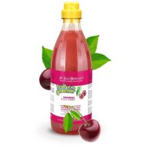 Iv San Bernard - champu fruit of the groomer cereza 1 litro champu fruits de cerezas para perros y gatos 1L especial para pelaje corto pelo luminoso