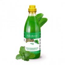 Iv San Bernard - champu fruit of the groomer de menta para perros 500 ml fruits champu menta 500 ml champu para perros refrescante menta y vitamina