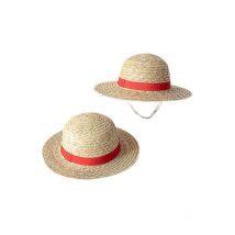Fei Yu - Chapeau de paille parent-enfant chapeau de protection solaire chapeau de performance