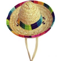 Jormftte - Chapeau de paille pour animaux de compagnie drôle mexicain Sombrero Cap décorations de fête pour anniversaire pour petits animaux de
