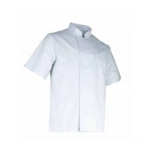 Aubergine chaqueta blanco s.xxl - 2175 S.6 - LMA