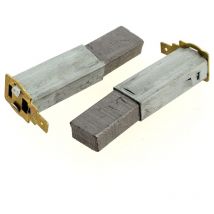 Charbons 7x13x21 par 2 3082600 - nettoyeur haute pression