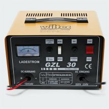 Le Poisson Qui Jardine - Chargeur 16A De Batterie Rapide, Automatique, GLZ30, Batterie 12V, 24V