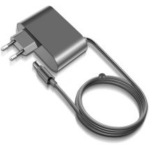 Chargeur Compatible avec Dyson DC30 DC31 DC34 DC35 DC44 DC45 DC56 DC57 - 16.75V/24.35V Batterie d'aspirateur