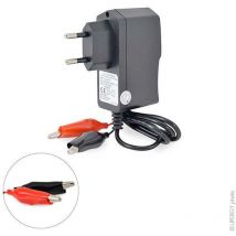NX - Chargeur plomb NX 12V/0.2A 110-230V - pinces crocodiles (Intelligent)